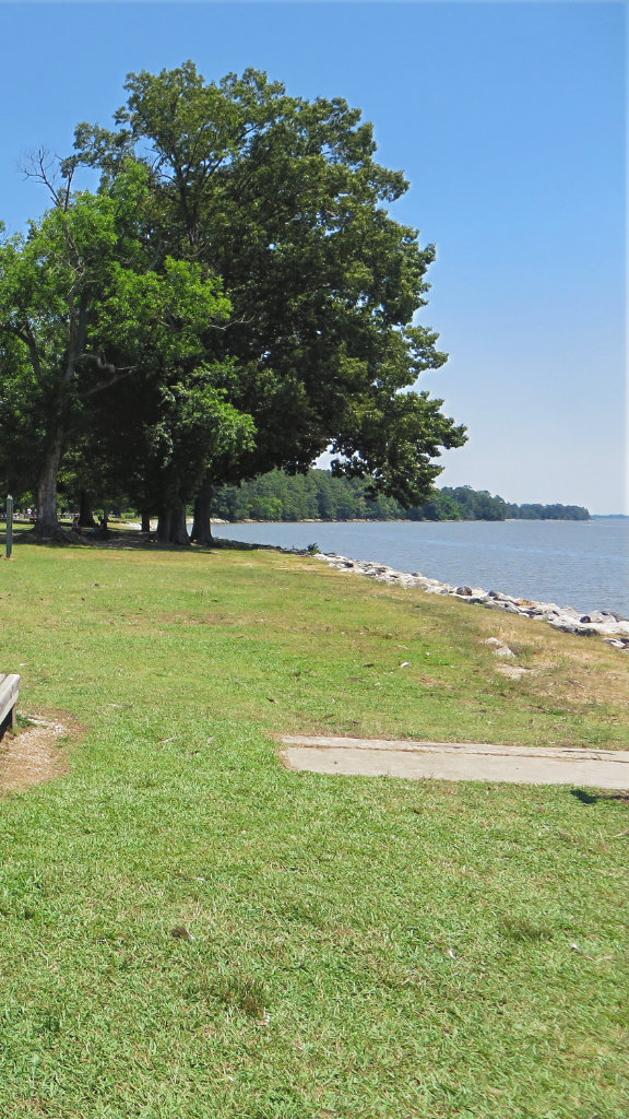 Ttidewater Virginia Attorney